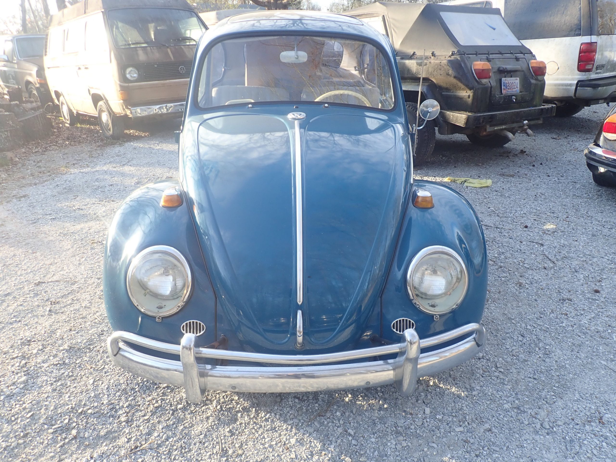 Fergie 2 1966 Beetle